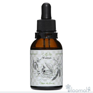 t[GbZX VhD[ J-BachV[Y 