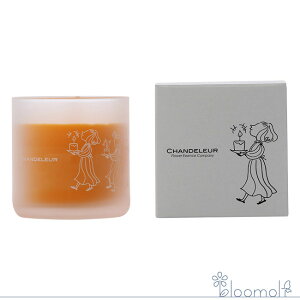 t[GbZX VhD[ t[GbZXLh p[eB[ Party