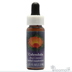 Jf FESt[GbZX NCgGbZX