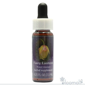 tFA[^ FESt[GbZX NCgGbZX