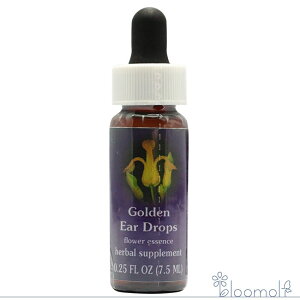 S[fC[hbvX FESt[GbZX NCgGbZX