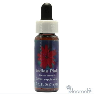 CfBAsN FESt[GbZX NCgGbZX