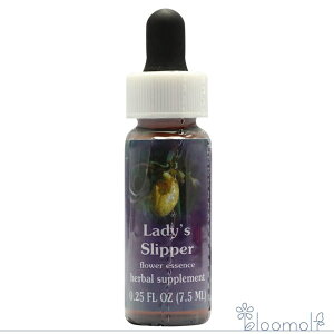 t[GbZX FESt[GbZX NCgGbZX fBYXbp[