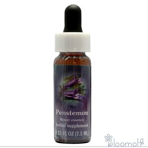 yXe FESt[GbZX NCgGbZX