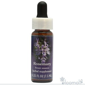 [Y}[ FESt[GbZX NCgGbZX