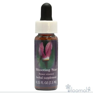 V[eBOX^[ FESt[GbZX NCgGbZX