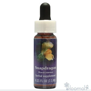 �X�i�b�v�h���S�� FES�t�����[�G�b�Z���X �N�C���g�G�b�Z���X