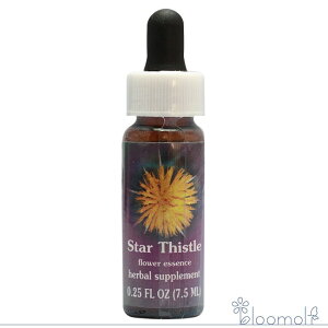 X^[`bX FESt[GbZX NCgGbZX