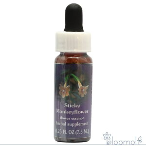 XeBbL[L[t[ FESt[GbZX NCgGbZX