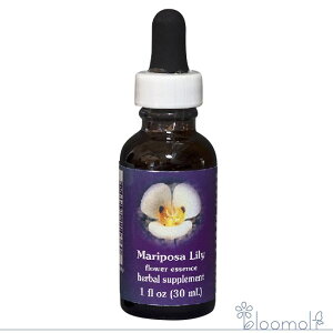 �}���|�T�����[ FES�t�����[�G�b�Z���X �N�C���g�G�b�Z���X 30ml �L�����Z���s���i ��������i