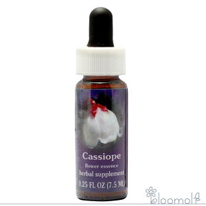 JVI[v FESt[GbZX WIuCg