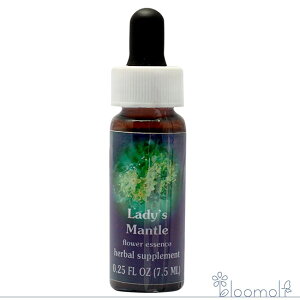 fBX}g FESt[GbZX WIuCg