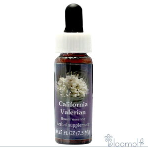 JtHjAoA FESt[GbZX WIuCg