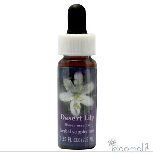 �f�U�[�g�����[ FES�t�����[�G�b�Z���X �����W�I�u���C�g