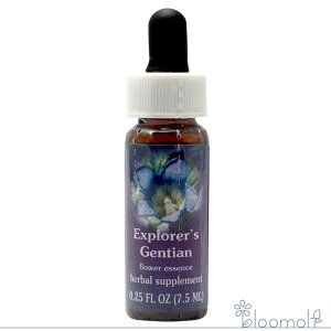 GNXvA[YQ`A FESt[GbZX WIuCg