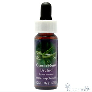 O[CI[Lbh FESt[GbZX WIuCg