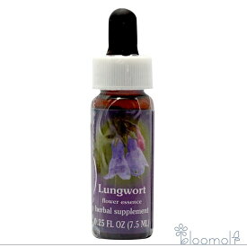 ラングワート FESフラワーエッセンス レンジオブライト