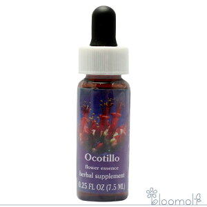 IReB[ FESt[GbZX WIuCg