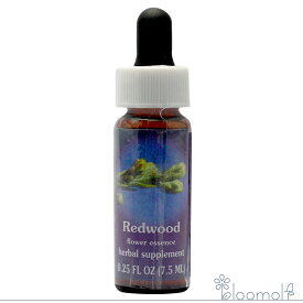 レッドウッド FESフラワーエッセンス レンジオブライト