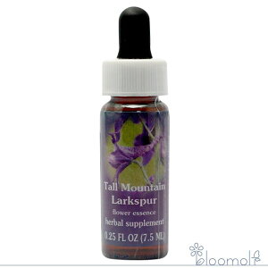 g[}Ee[NXp[ FESt[GbZX WIuCg