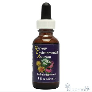 [GoC^\[V GbZX 30ml FESt[GbZX YES