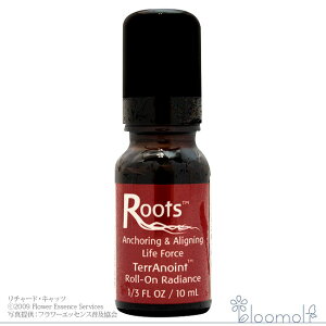 t[GbZX FESt[GbZX emCg[I [c