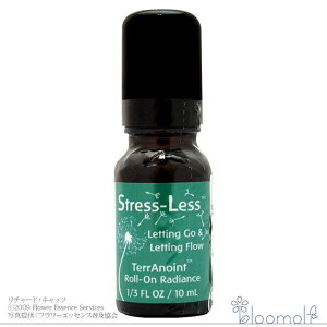 t[GbZX FESt[GbZX emCg[I XgXX