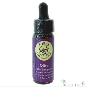 �t�����[�G�b�Z���X FES�t�����[�G�b�Z���X ���T�[�`�o�b�` �I���[�u 7.5ml Olive