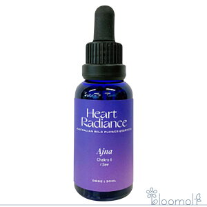 t[GbZX n[gfBGXGbZX `Nuh AWi 3̖ `NGbZX Ajna Third Eye Chakra