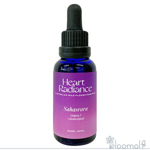 t[GbZX n[gfBGXGbZX `Nuh TnX[ NE `NGbZX Sahasrara Crown Chakra