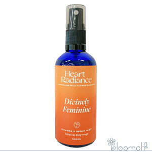 t[GbZX n[gfBGXGbZX `NSbfXXv[ fB@C[tF~jXv[ Divinely Feminine