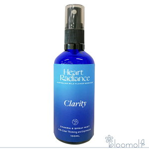 t[GbZX n[gfBGXGbZX `NSbfXXv[ NeBXv[ Clarity