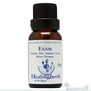 t[GbZX q[On[uX VK[Oj[ GOU