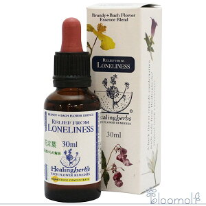 t[GbZX q[On[uX q[On[uXuh [tt[lX