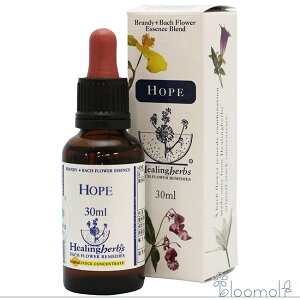 t[GbZX q[On[uX q[On[uXuh z[v