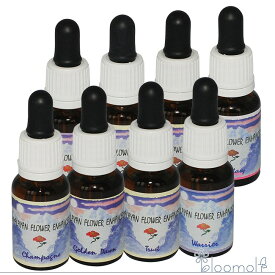 フラワーエッセンス ヒマラヤンエンハンサーズ ラブ&セクシャリティキット カップル用 全8本