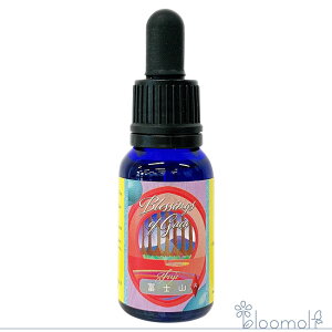 t[GbZX q}t[GnT[Y ubVOX Iu KCA Blessings of Gaia xmR GbZX