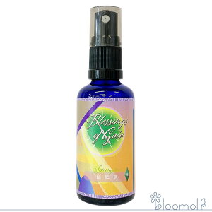 t[GbZX q}t[GnT[Y ubVOX Iu KCA Blessings of Gaia 同 Xv[