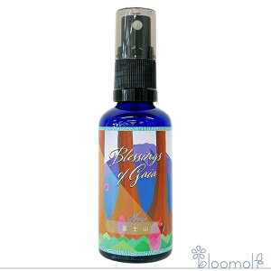 t[GbZX q}t[GnT[Y ubVOX Iu KCA Blessings of Gaia xmR Xv[