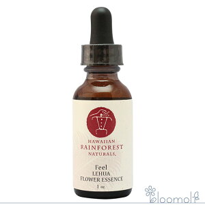 t[GbZX nCAECEtHXgEi`Y tA 