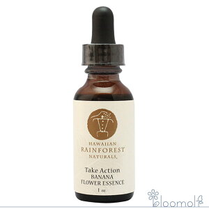 t[GbZX nCAECEtHXgEi`Y oii sN