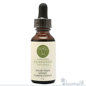 t[GbZX nCAECEtHXgEi`Y Llw tbVX^[g