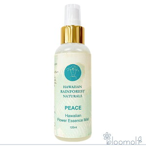 t[GbZX nCAECEtHXgEi`Y s[X PEACE