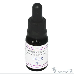 No.4 Express CfBSGbZX j[GiW[