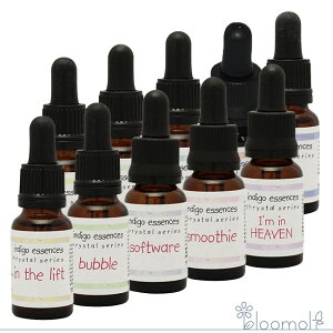 NX^V[YS10{Zbg CfBSGbZX NX^V[Y