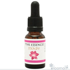 XefB STEADY CfBSGbZX sNGbZX t[GbZX