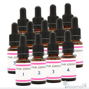 sNGbZXS13{Zbg CfBSGbZX