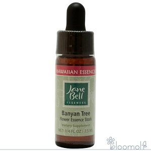 t[GbZX WF[xnCAGbZX VOGbZX oc[