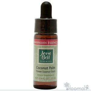 t[GbZX WF[xnCAGbZX VOGbZX RRibcp[