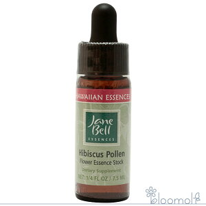 t[GbZX WF[xnCAGbZX VOGbZX nCrXJX|